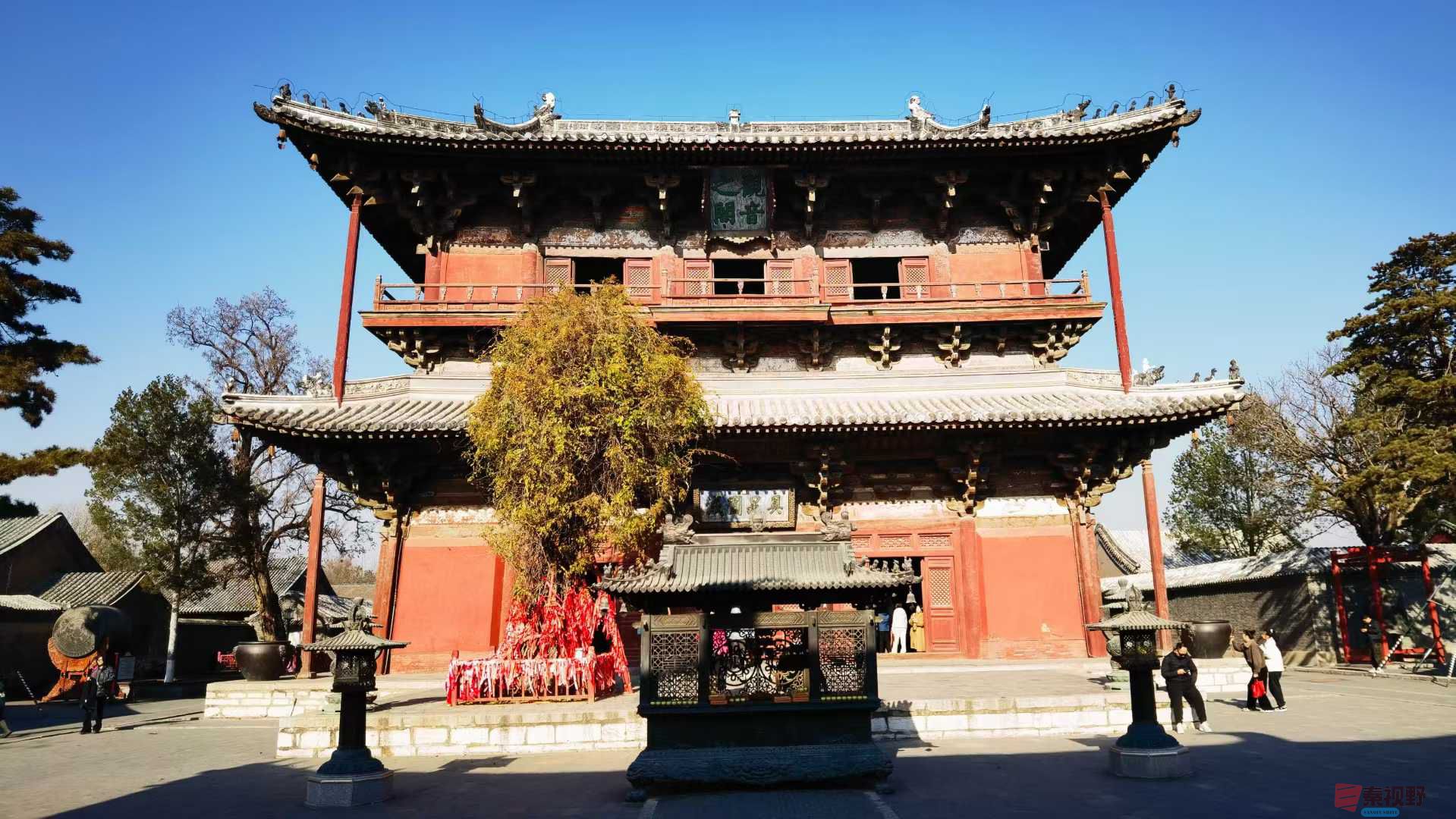 马世国_2025-11-25_101158_077 (2).jpg