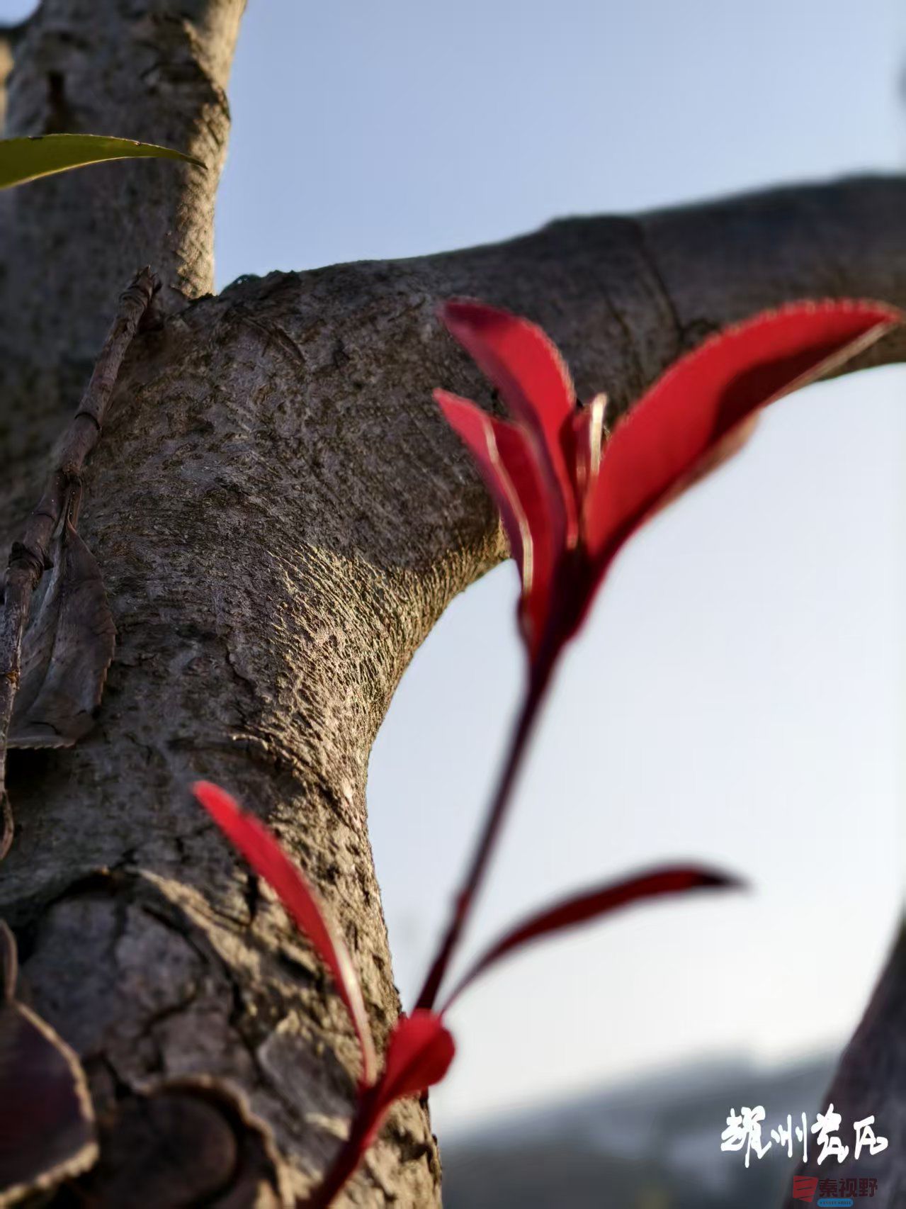 宋宝文_20251125194255_3831_463 (2).jpg