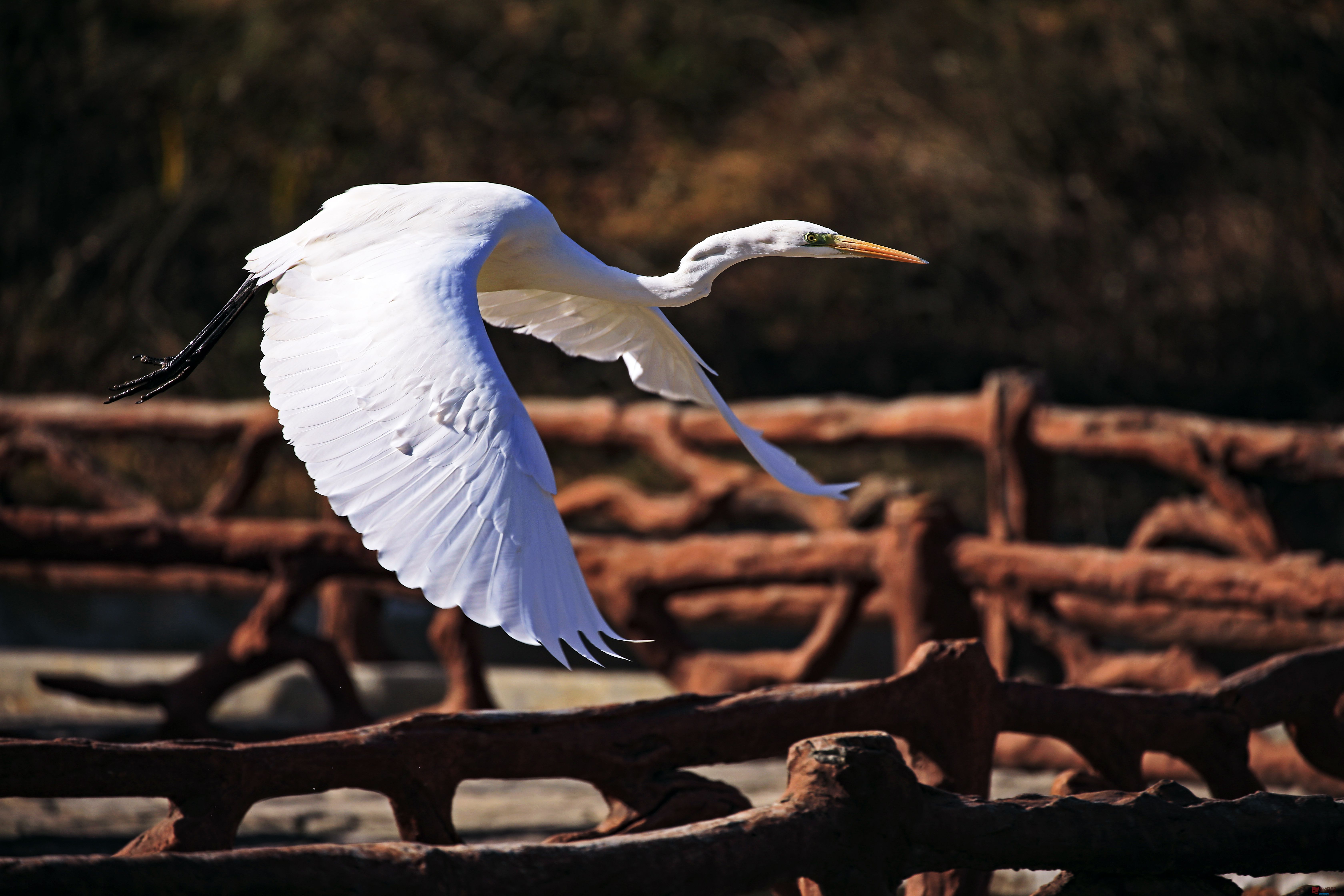 范焕章_20251125045332_810_149 (1).jpg