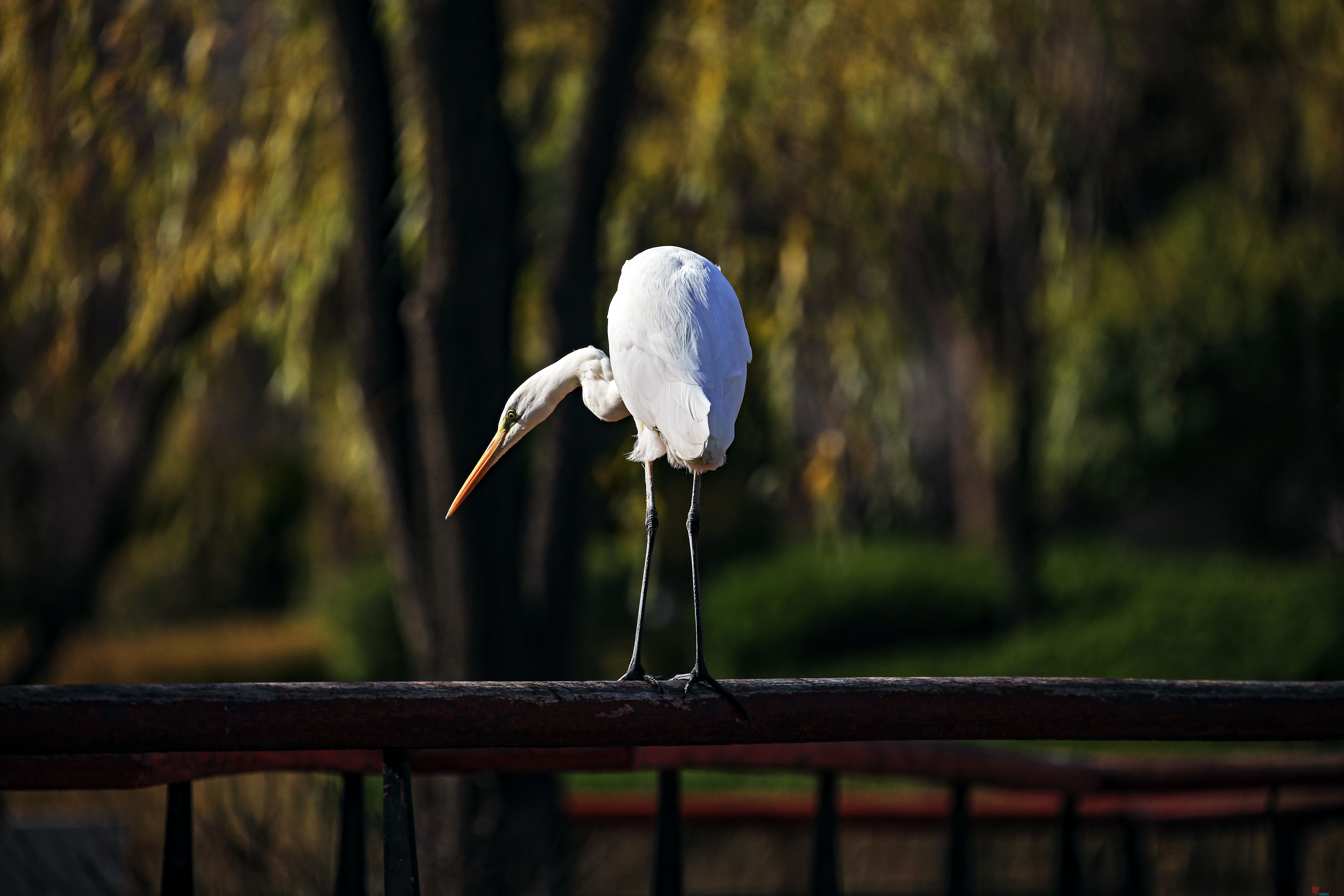 范焕章_20251125045332_810_149 (2).jpg