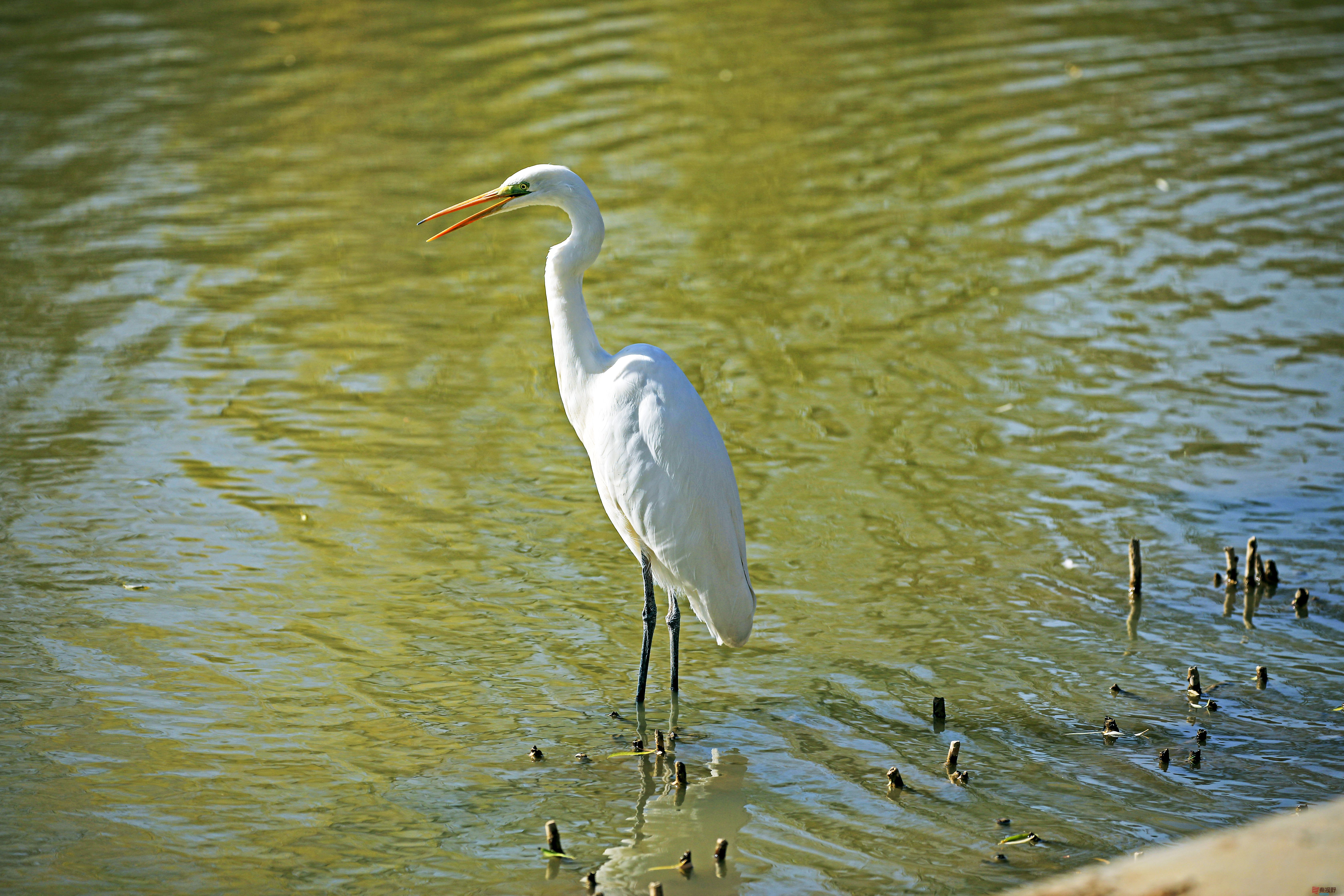 范焕章_20251125045332_810_149 (3).jpg