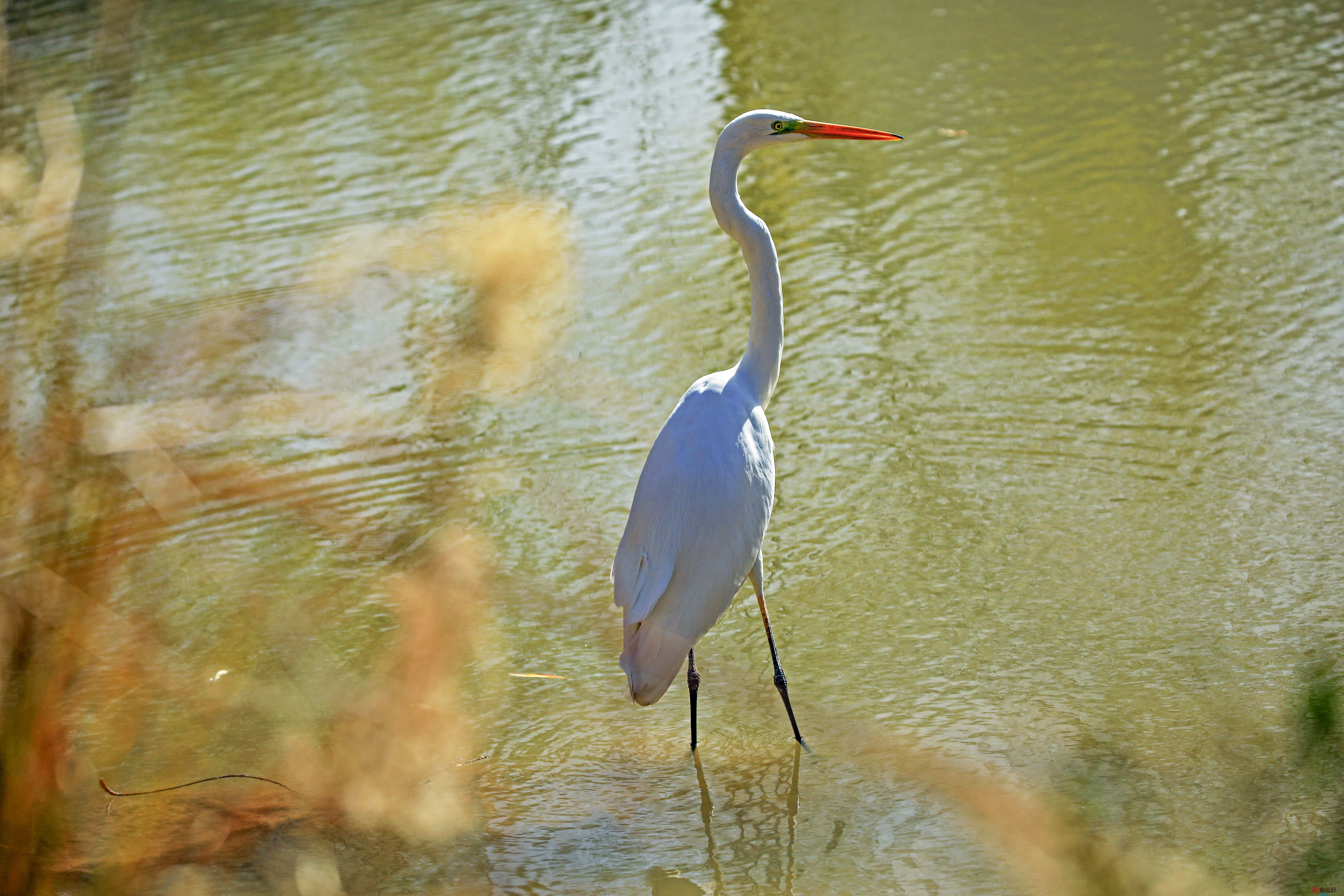 范焕章_20251125045332_810_149 (10).jpg