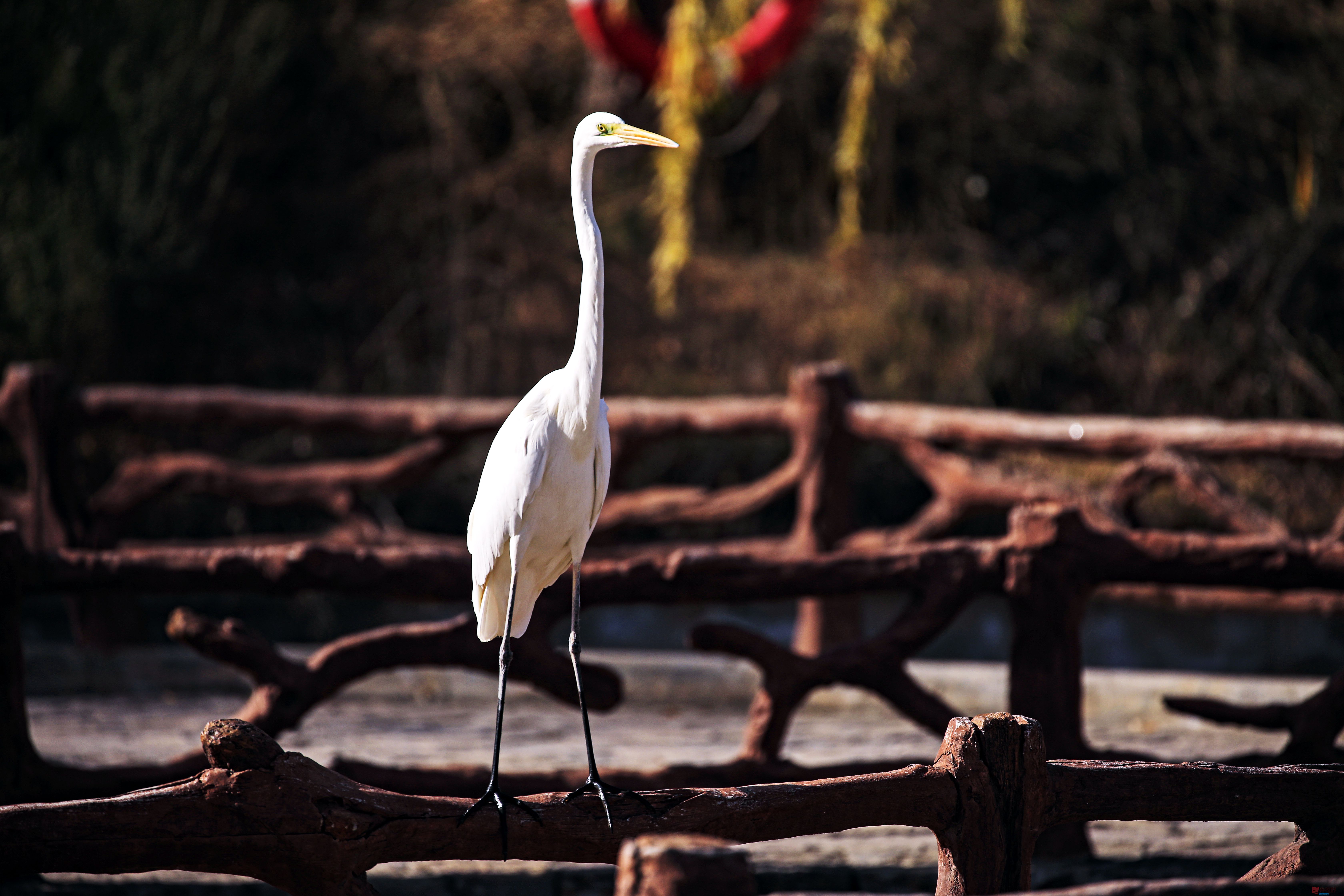 范焕章_20251125045332_810_149 (11).jpg