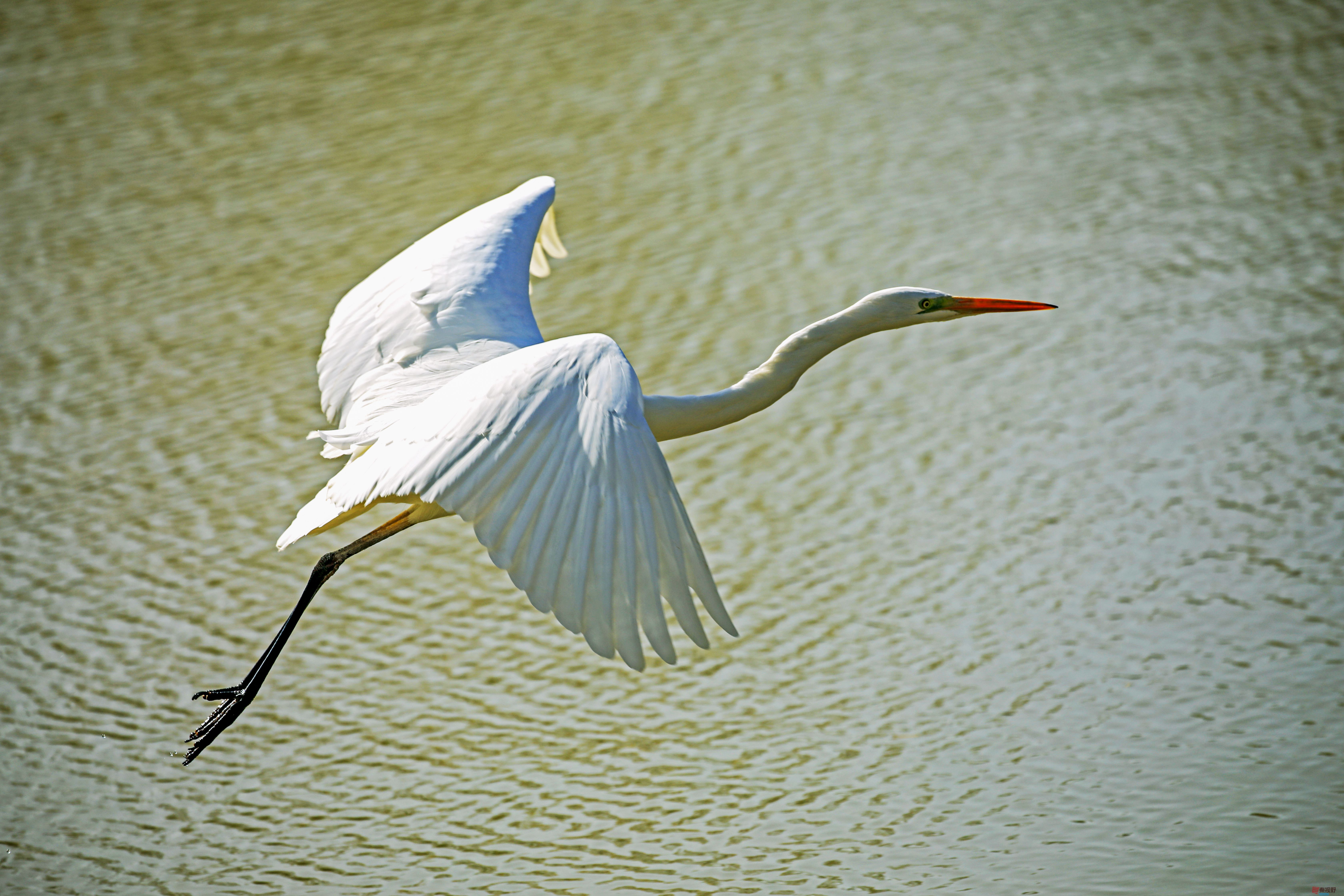 范焕章_20251125045332_810_149 (12).jpg