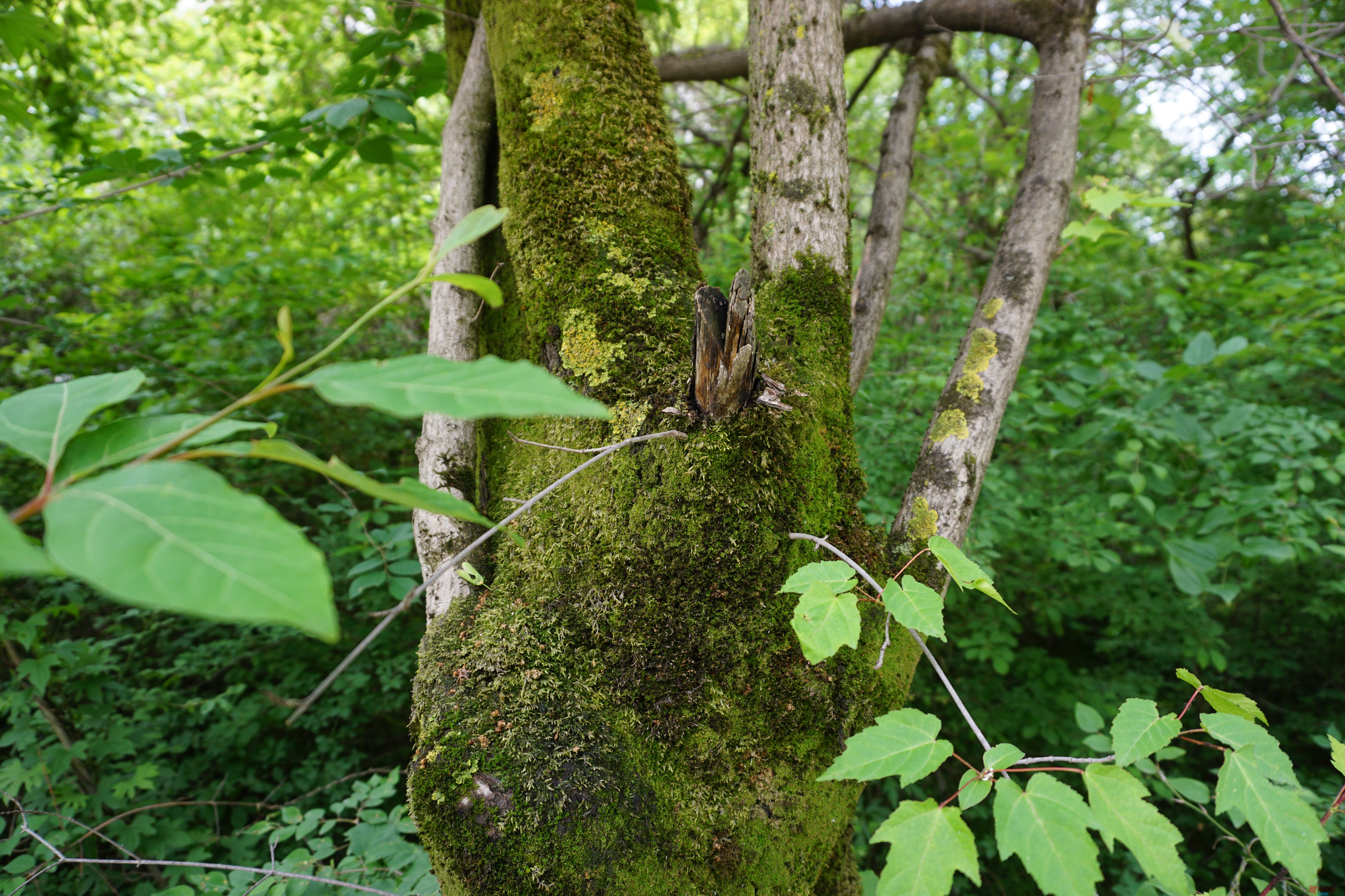 孙宏伟照金溪山胜景景区_20251126192155_100_469 (13).jpg