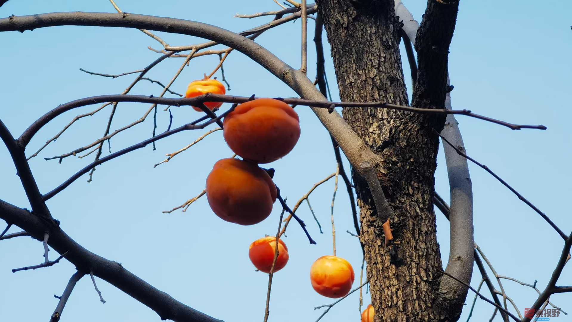 马世国_2025-11-28_161614_121 (1).jpg