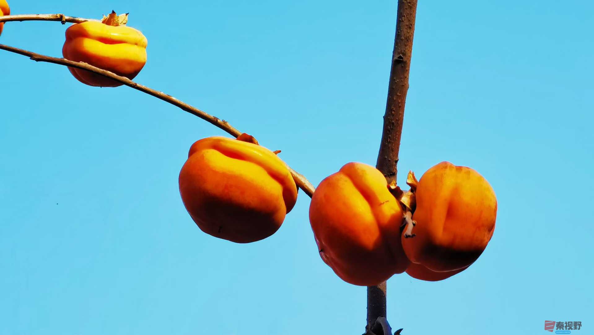 马世国_2025-11-28_161614_121 (6).jpg