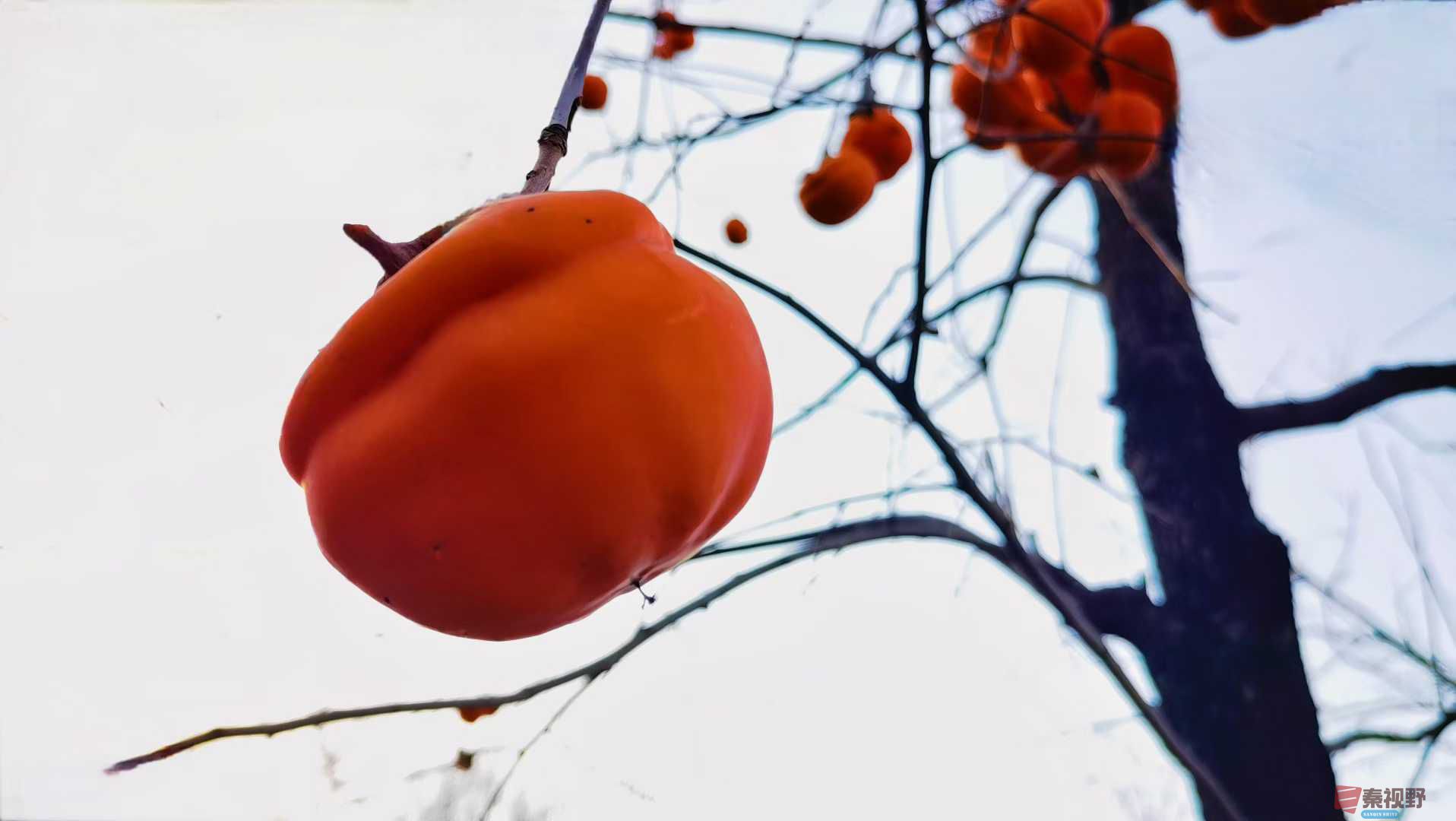 马世国_2025-11-28_161614_121 (5).jpg