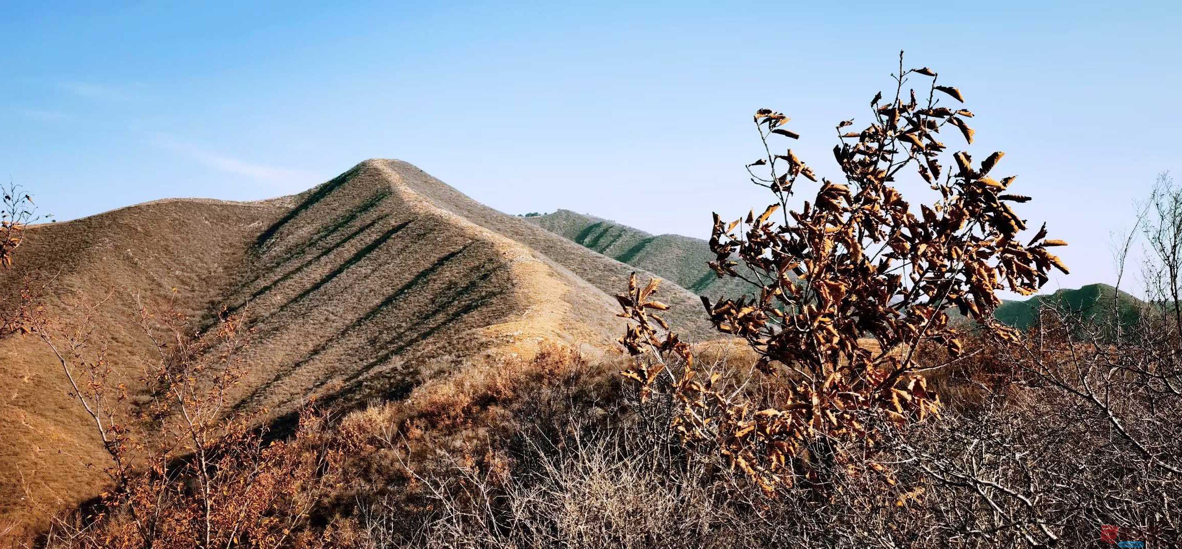 马世国_2025-11-26_144327_067 (1).jpg