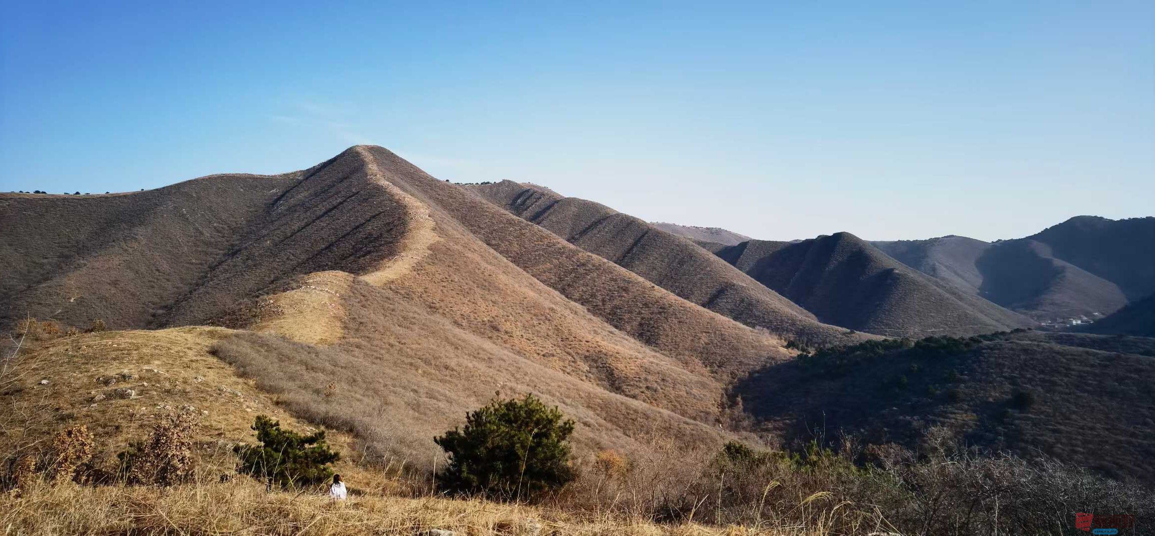 马世国_2025-11-26_144327_067 (3).jpg