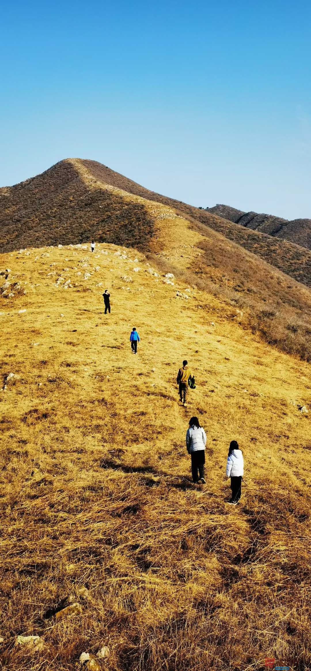 马世国_2025-11-26_144327_067 (5).jpg