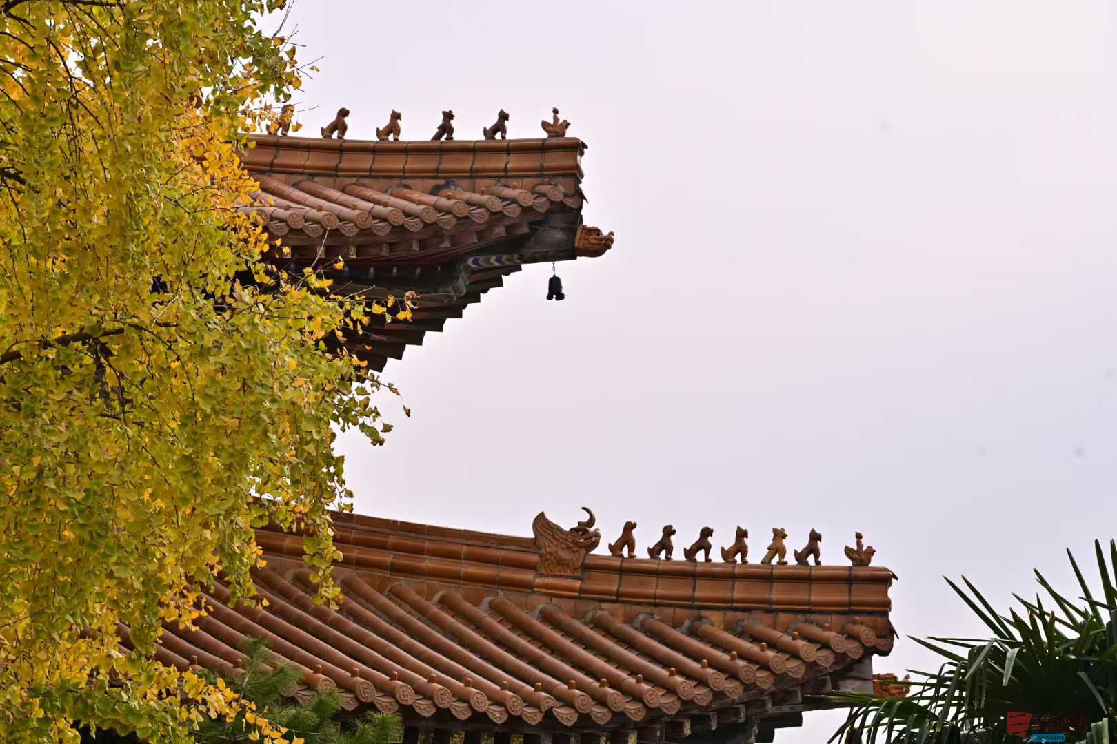 张高翔_2025-11-26_143902_990 (3).jpg