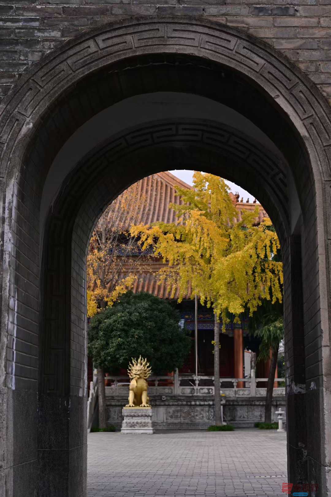 张高翔_2025-11-26_143902_990 (6).jpg