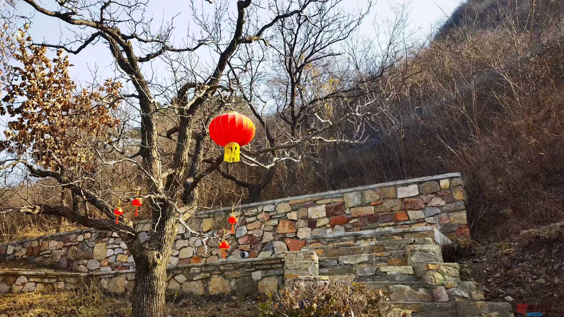 马世国_2025-11-28_162703_639 (7).jpg