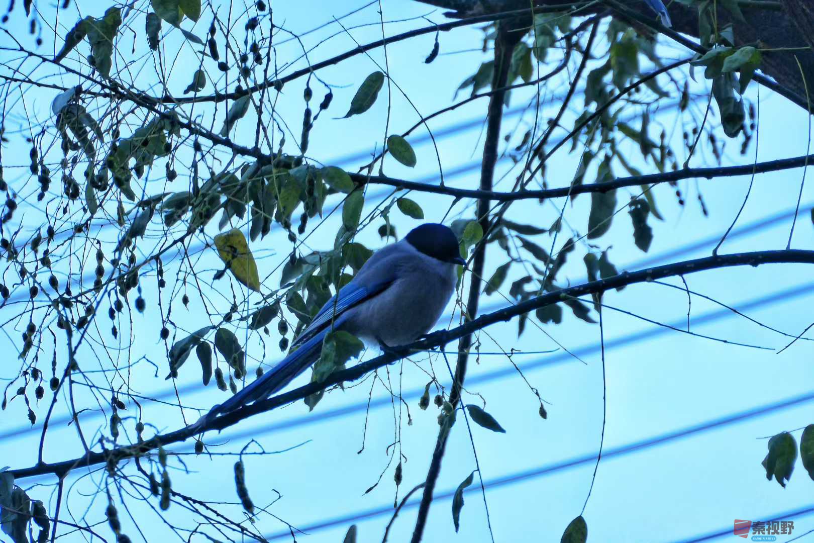 陈耀杰_2025-11-28_161800_775 (3).jpg