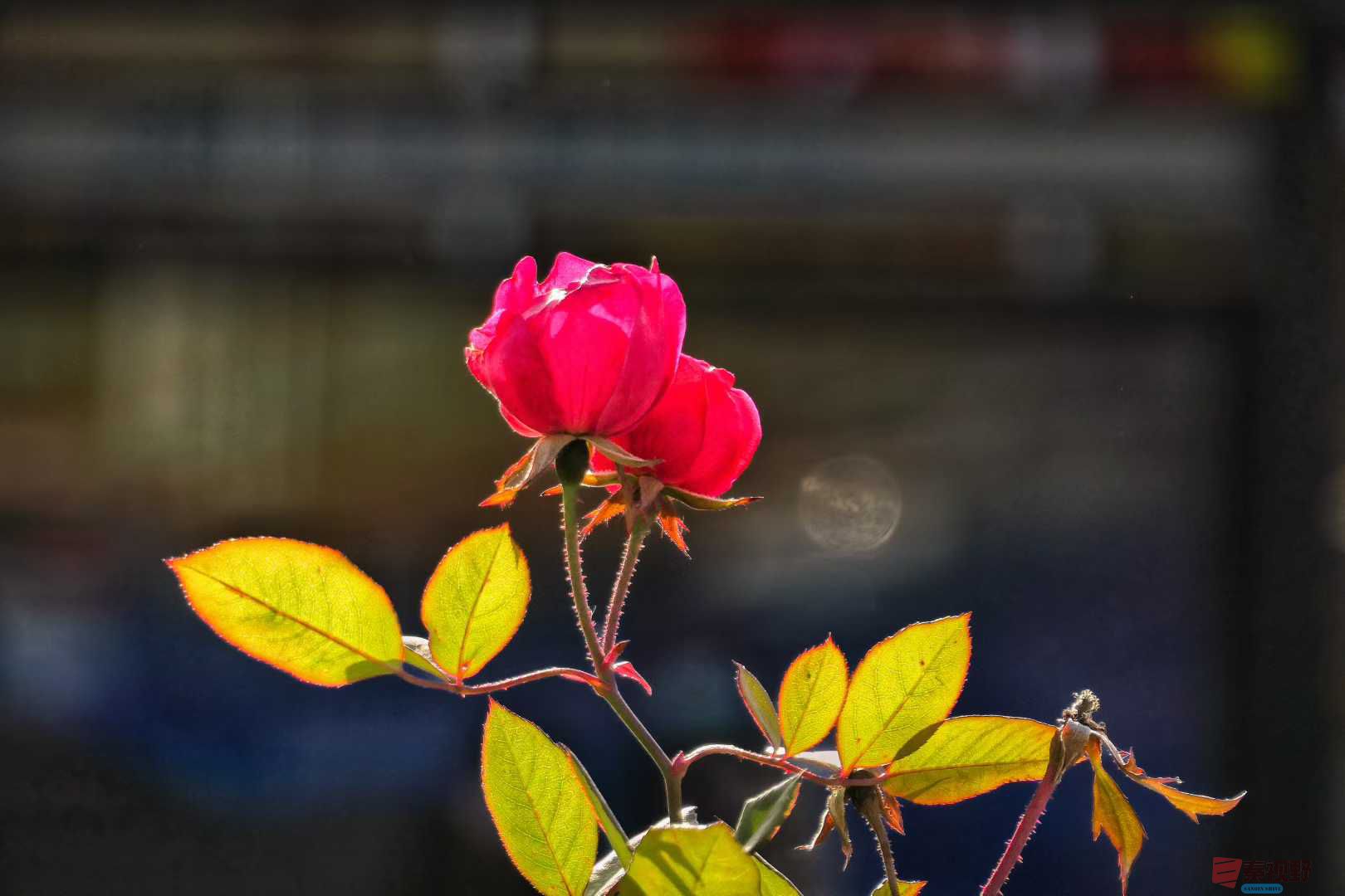 陈耀杰_2025-11-28_161800_775 (9).jpg