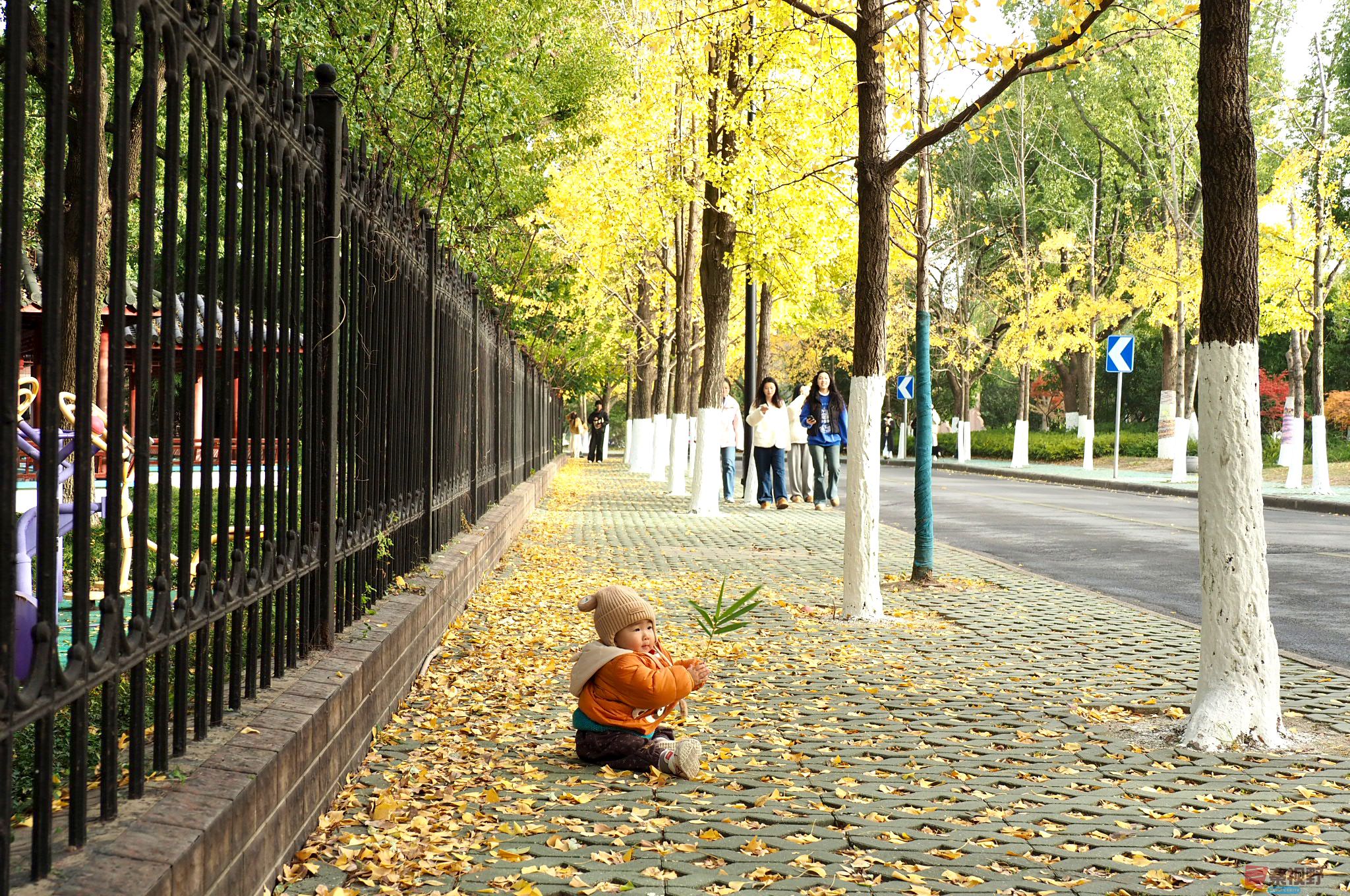 黄风升_20251128203621_91_1164 (2).jpg