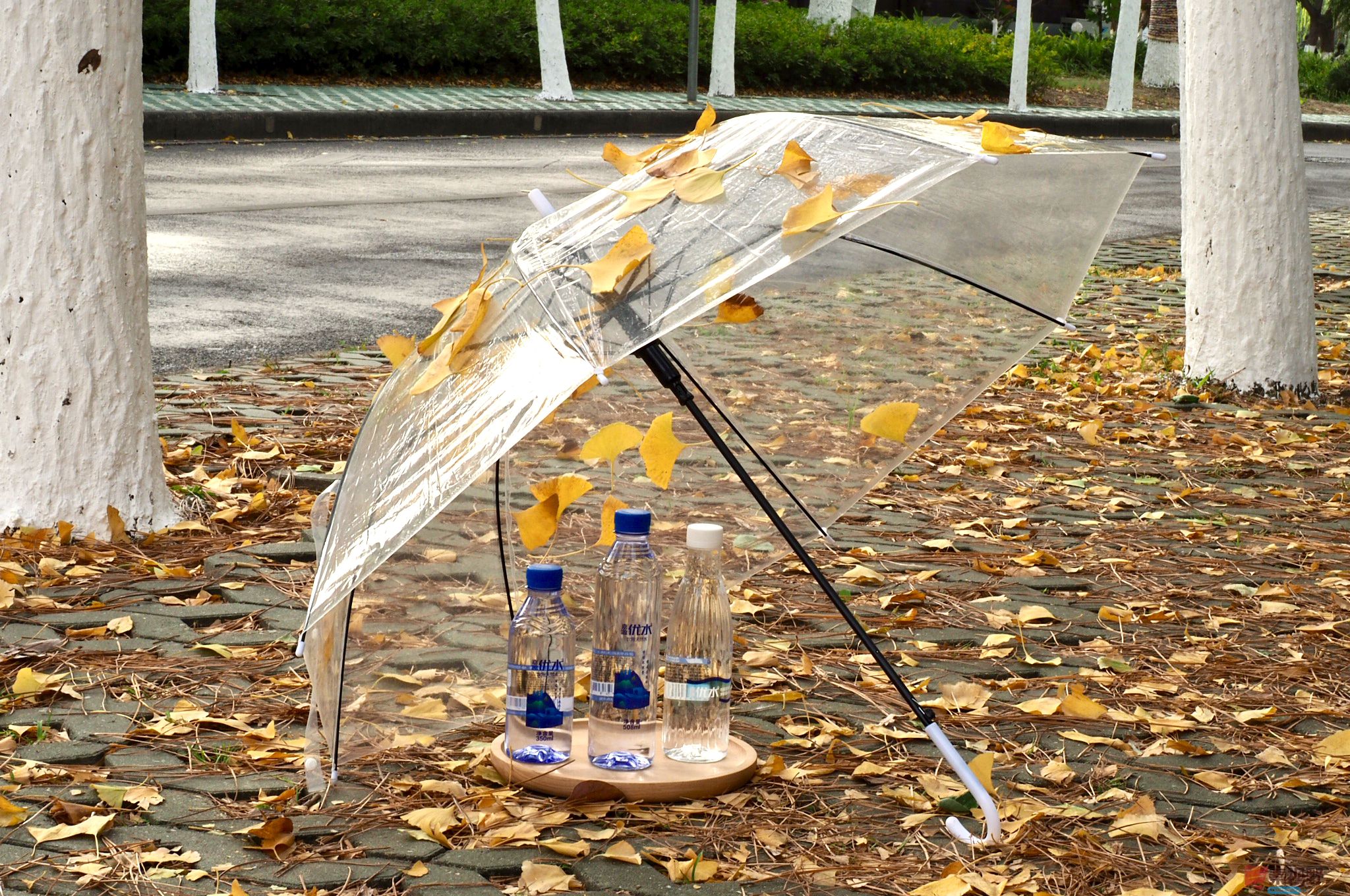 黄风升_20251128203621_91_1164 (3).jpg