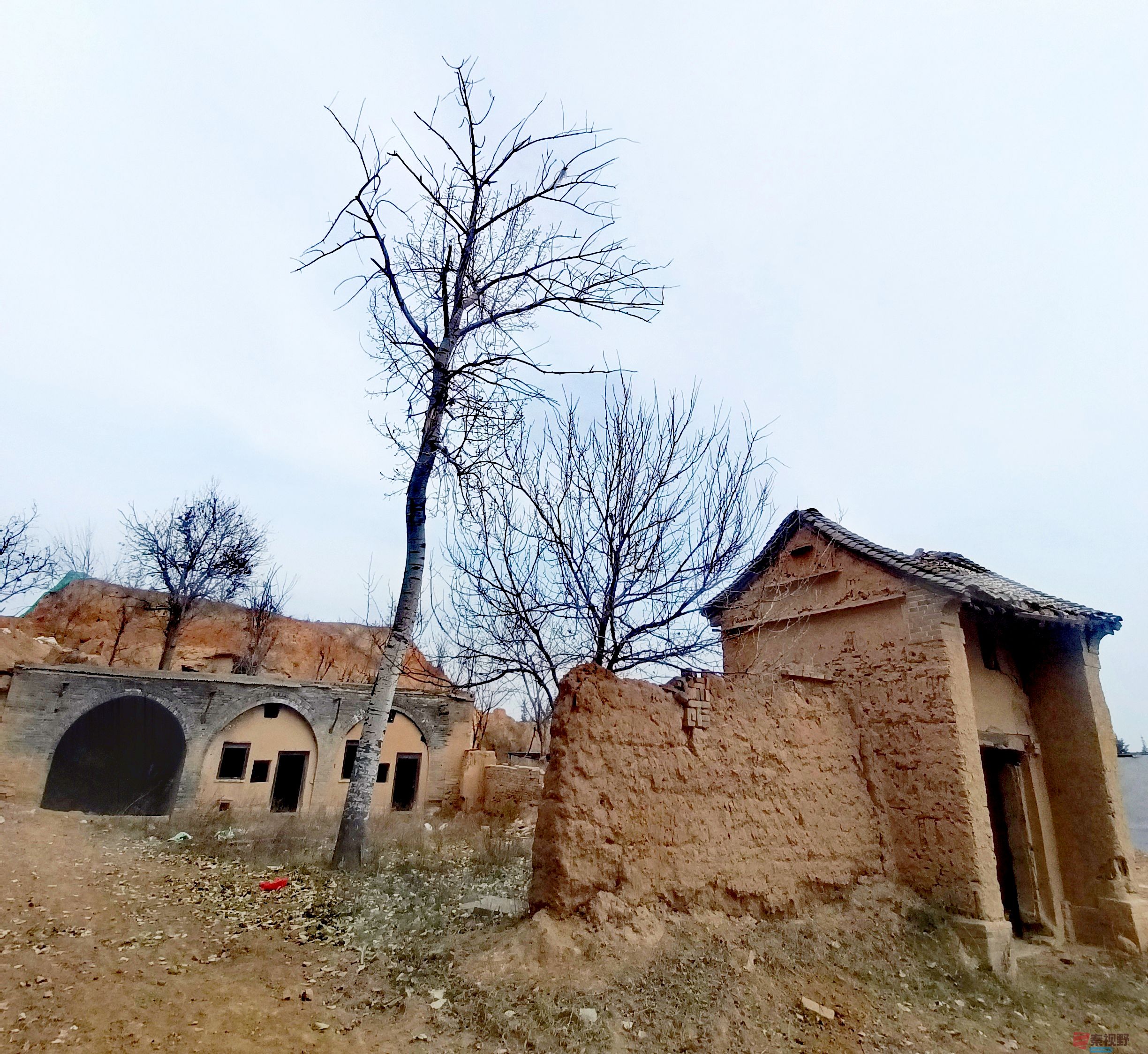 王顺利_20251129101759_4099_463 (2).jpg