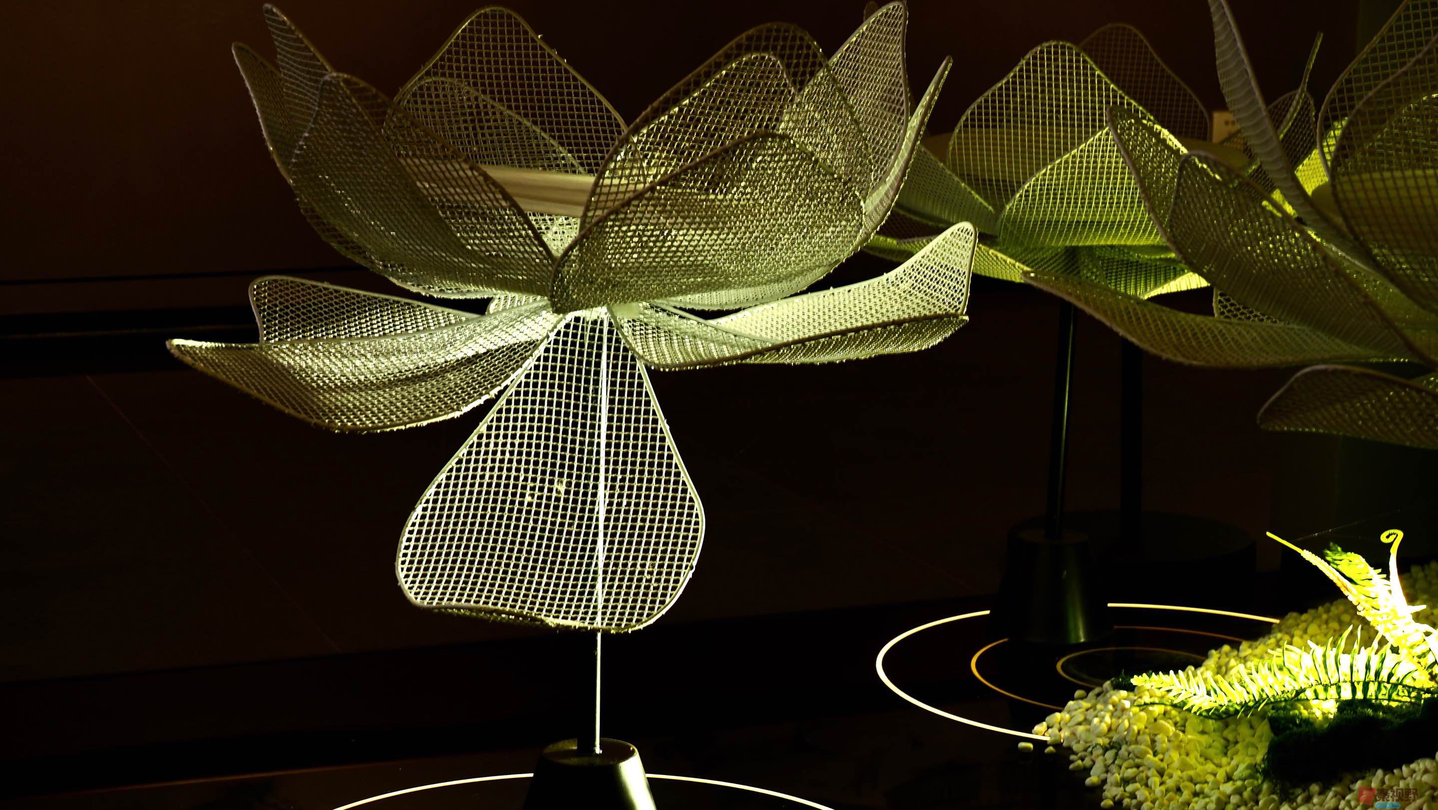 黄风升20251208 (5).jpg