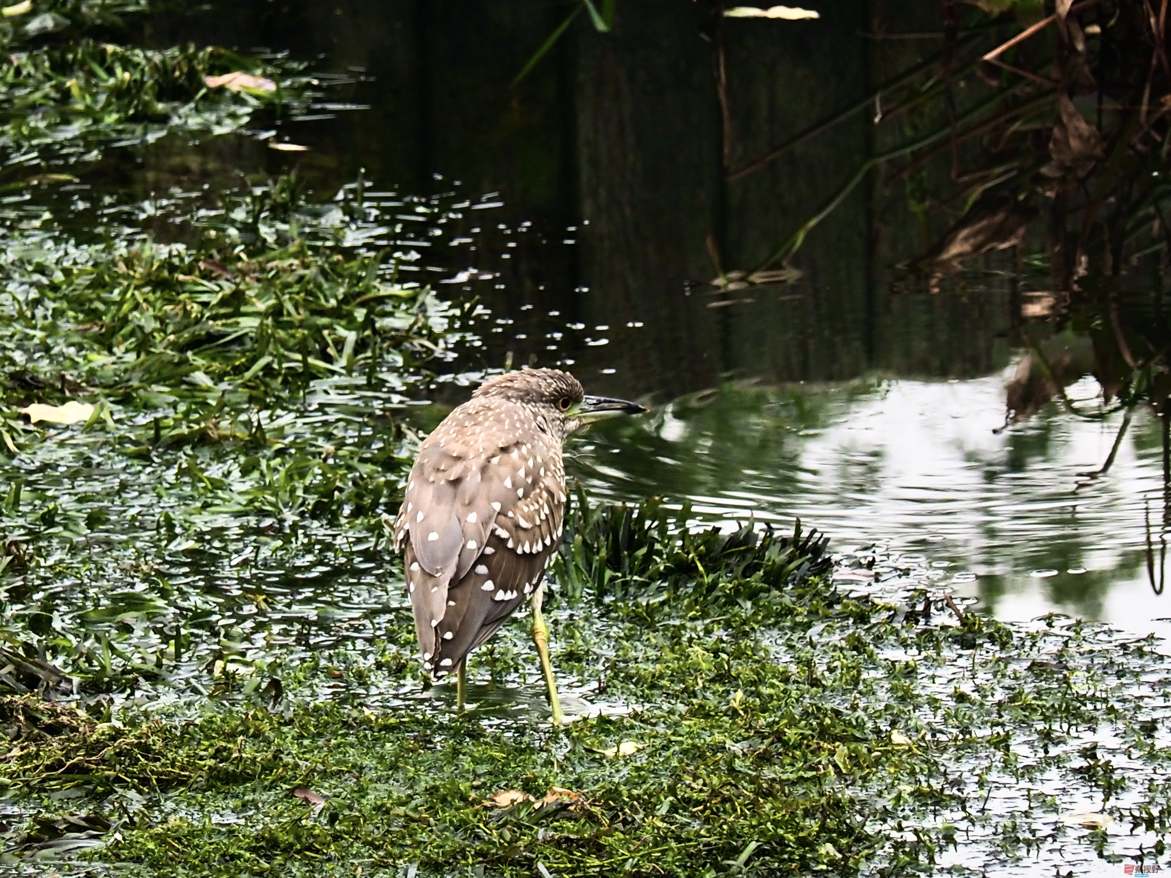 黄风升_20251202191522_936_149 (1).jpg