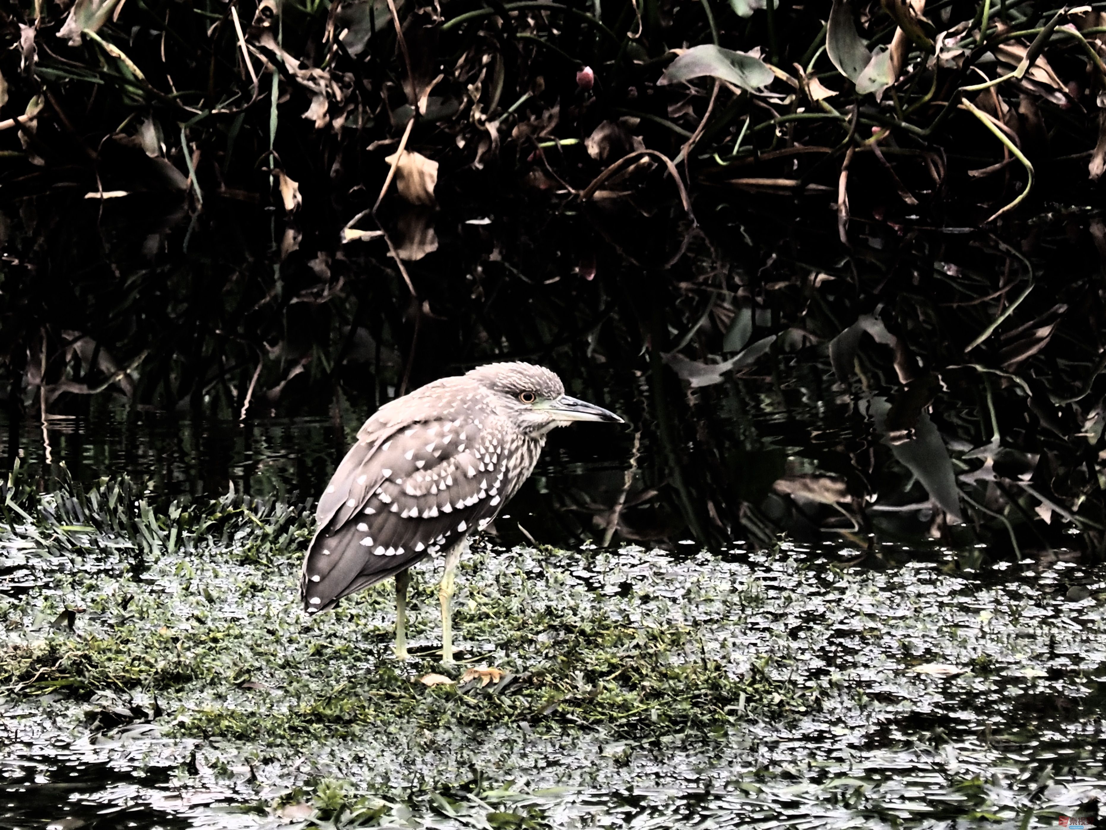 黄风升_20251202191522_936_149 (2).jpg