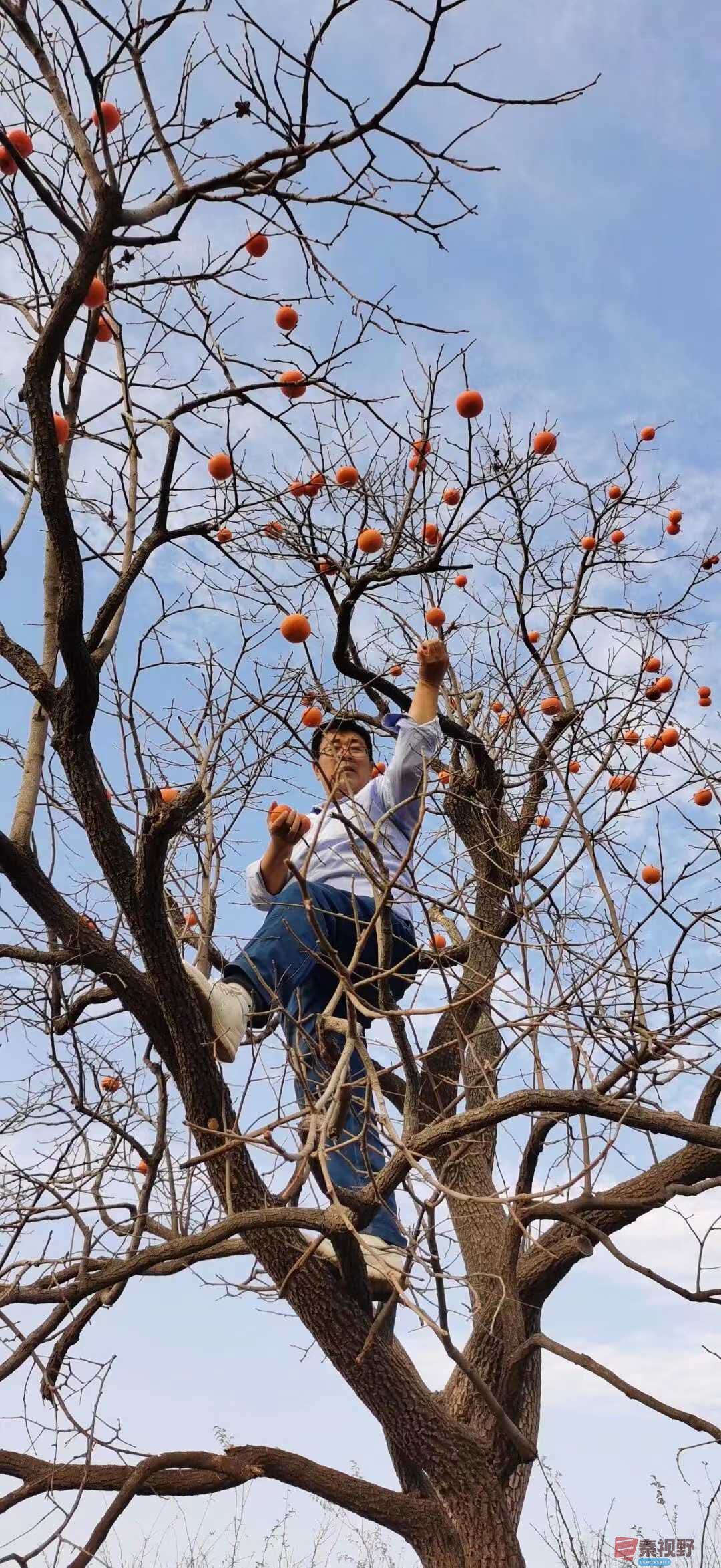 贺承军_2025-11-29_200650_763 (4).jpg