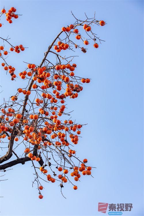 张宝光压缩_20251213173045_4516_463 (3).jpg