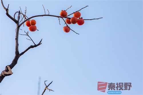 张宝光压缩_20251213173045_4516_463 (2).jpg