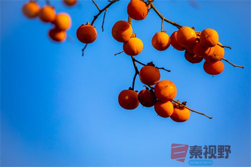 张宝光压缩_20251213173045_4516_463 (6).jpg