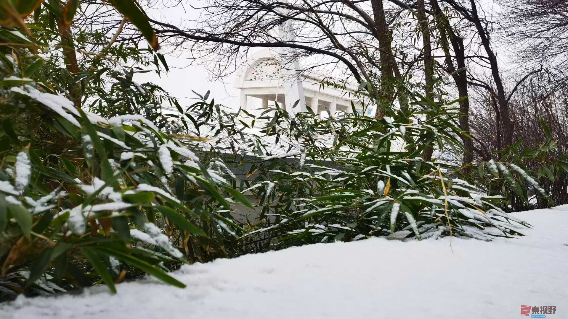 马世国_2025-12-13_144648_902 (2).jpg