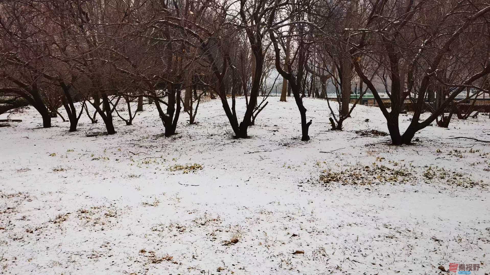 马世国_2025-12-13_144648_902 (8).jpg