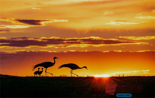 刘胜军压缩_20251213154916_4486_463 (2).jpg