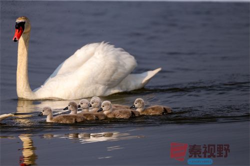 刘胜军压缩_20251213154916_4486_463 (8).jpg