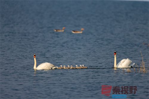 刘胜军压缩_20251213154916_4486_463 (6).jpg