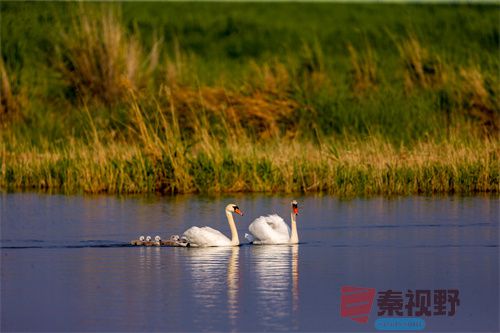 刘胜军压缩_20251213154916_4486_463 (7).jpg