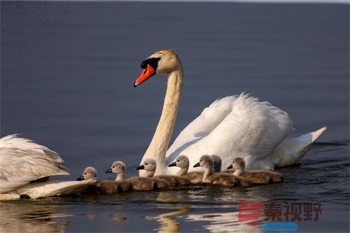 刘胜军压缩_20251213154916_4486_463 (9).jpg