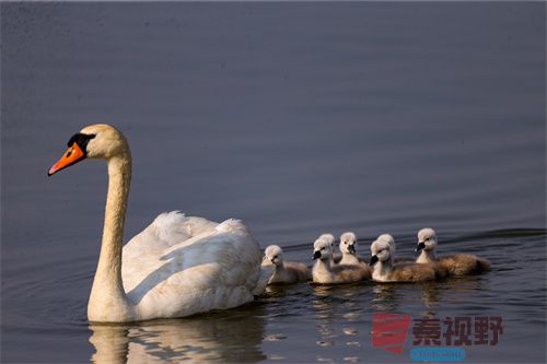 铜川摄影师刘胜军作品欣赏