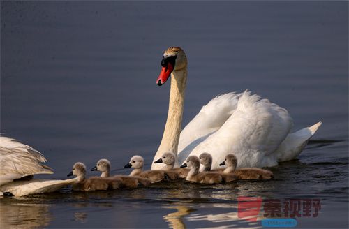 刘胜军压缩_20251213154916_4486_463 (11).jpg