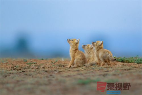 刘胜军压缩_20251213154916_4486_463 (14).jpg