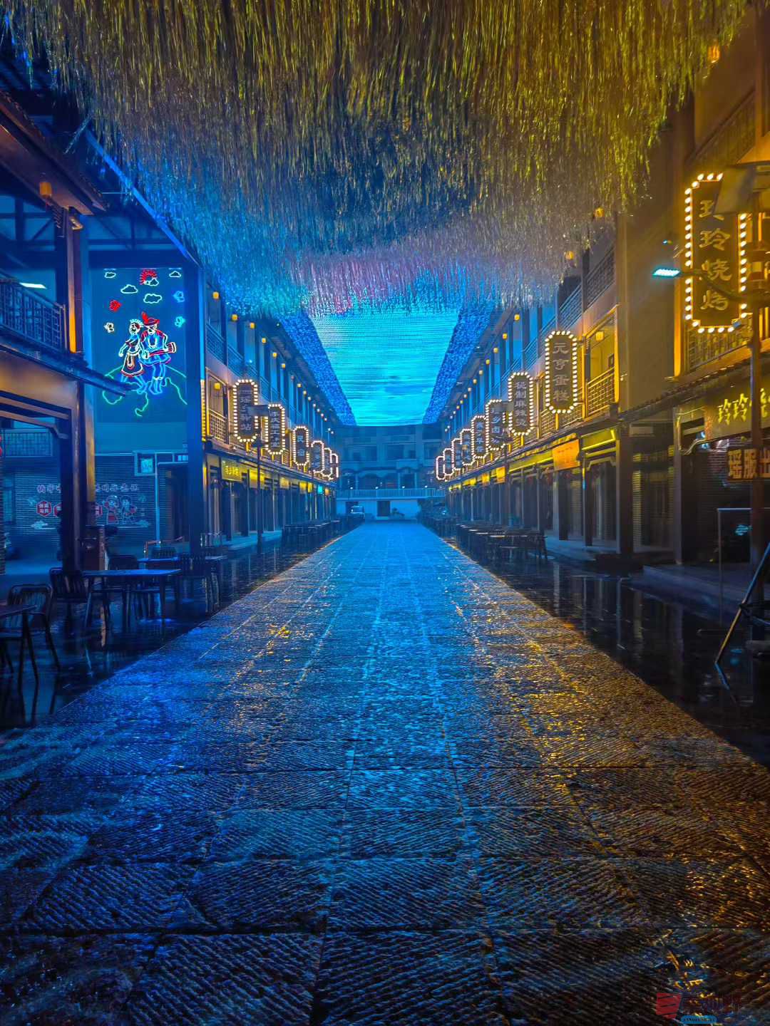 王子文_2025-12-13_151647_080 (2).jpg