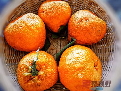 陈耀杰压缩_20251209115604_1070_149 (5).jpg