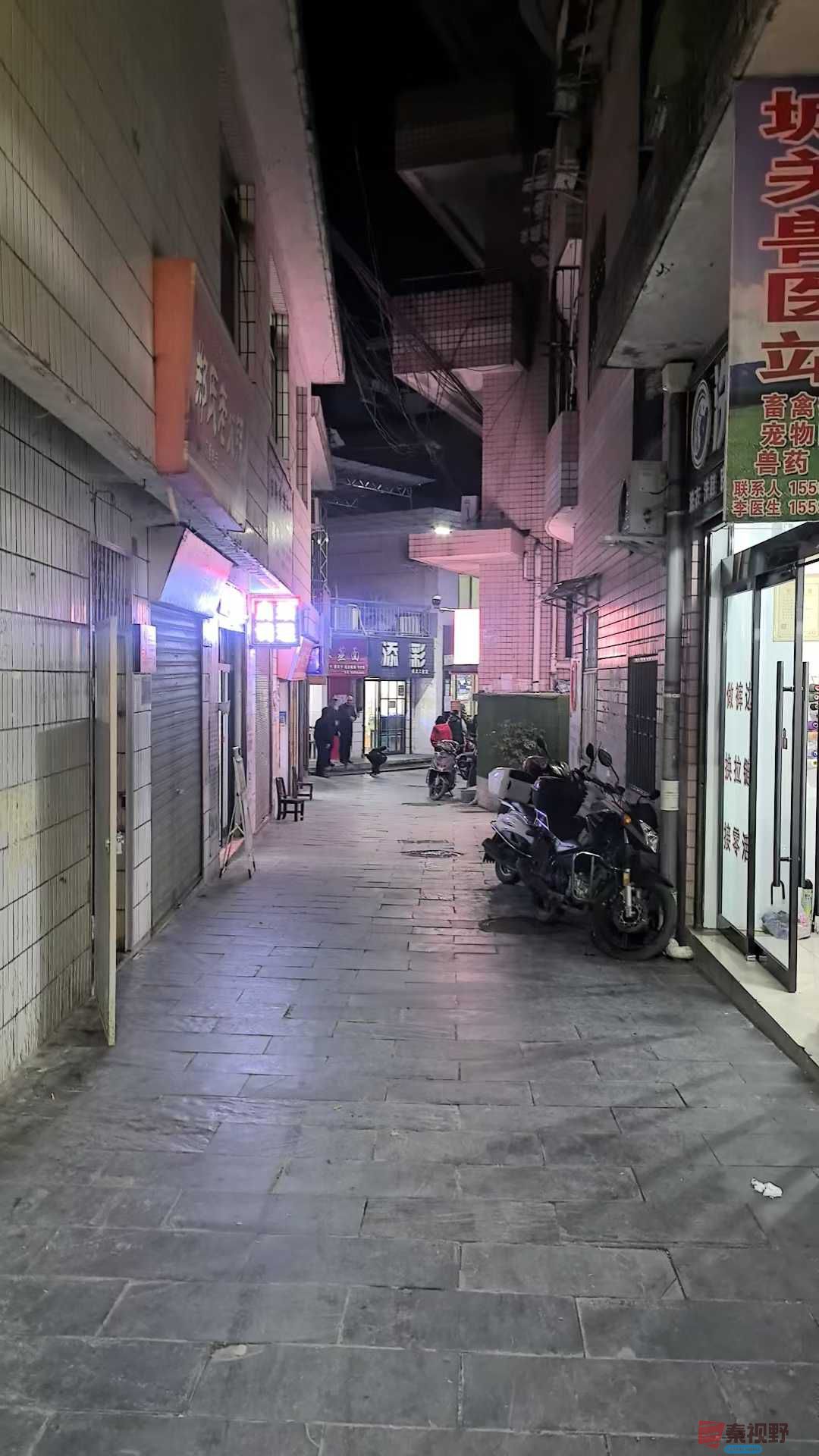 紫阳县吴宁_2025-12-14_172208_944 (9).jpg