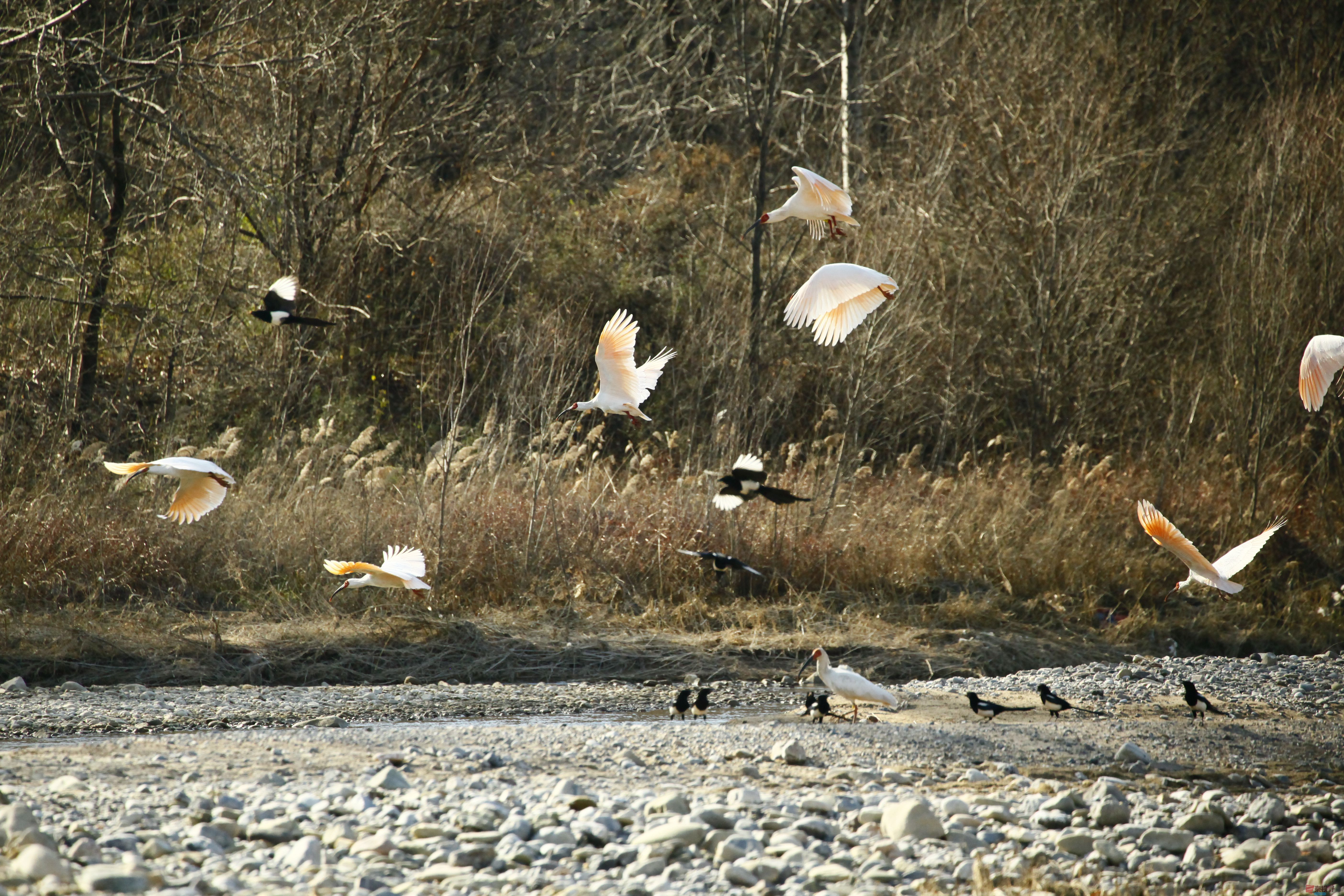 聂士平_20251207204501_955_149 (1).jpg