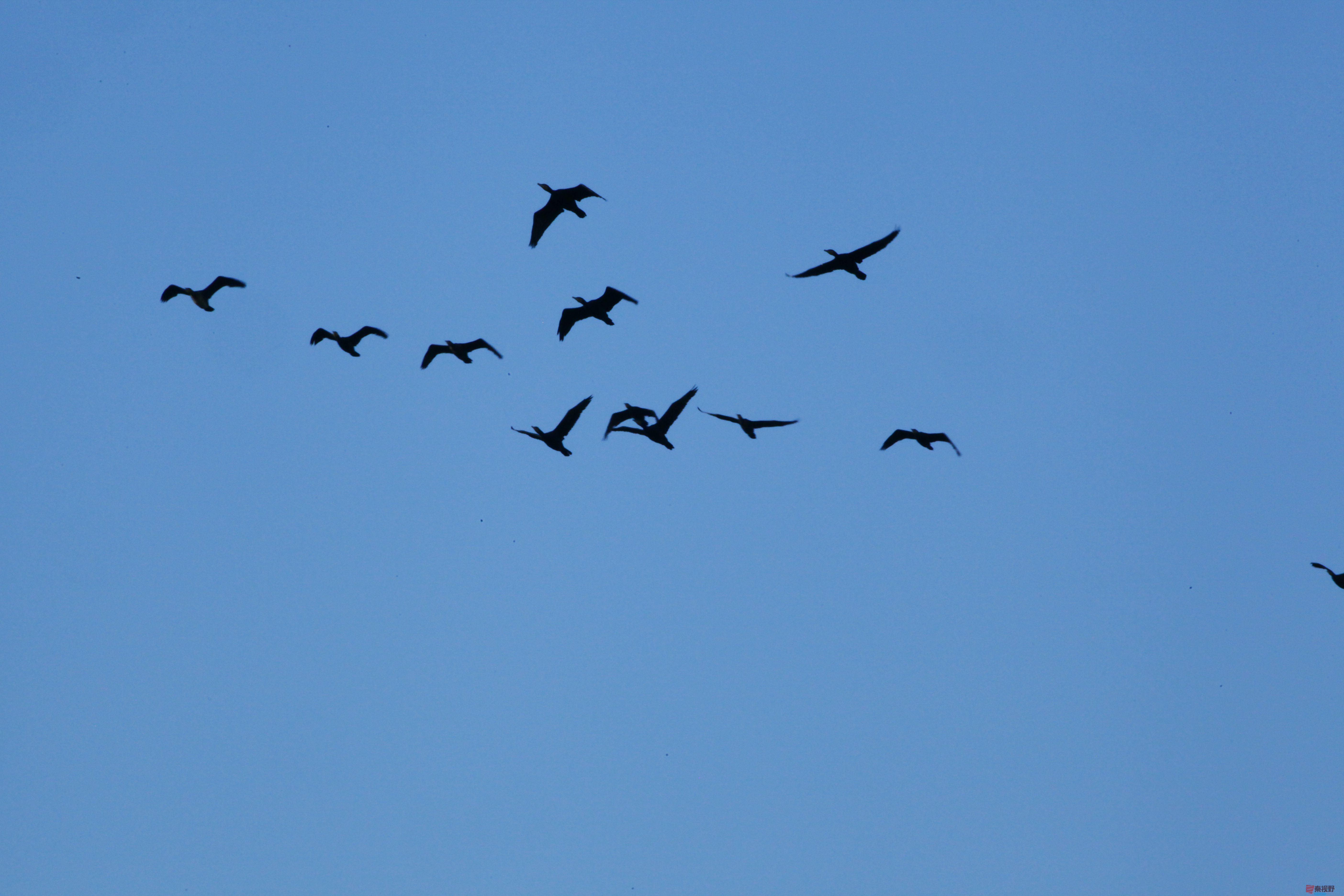 铜川摄影师聂士平作品欣赏