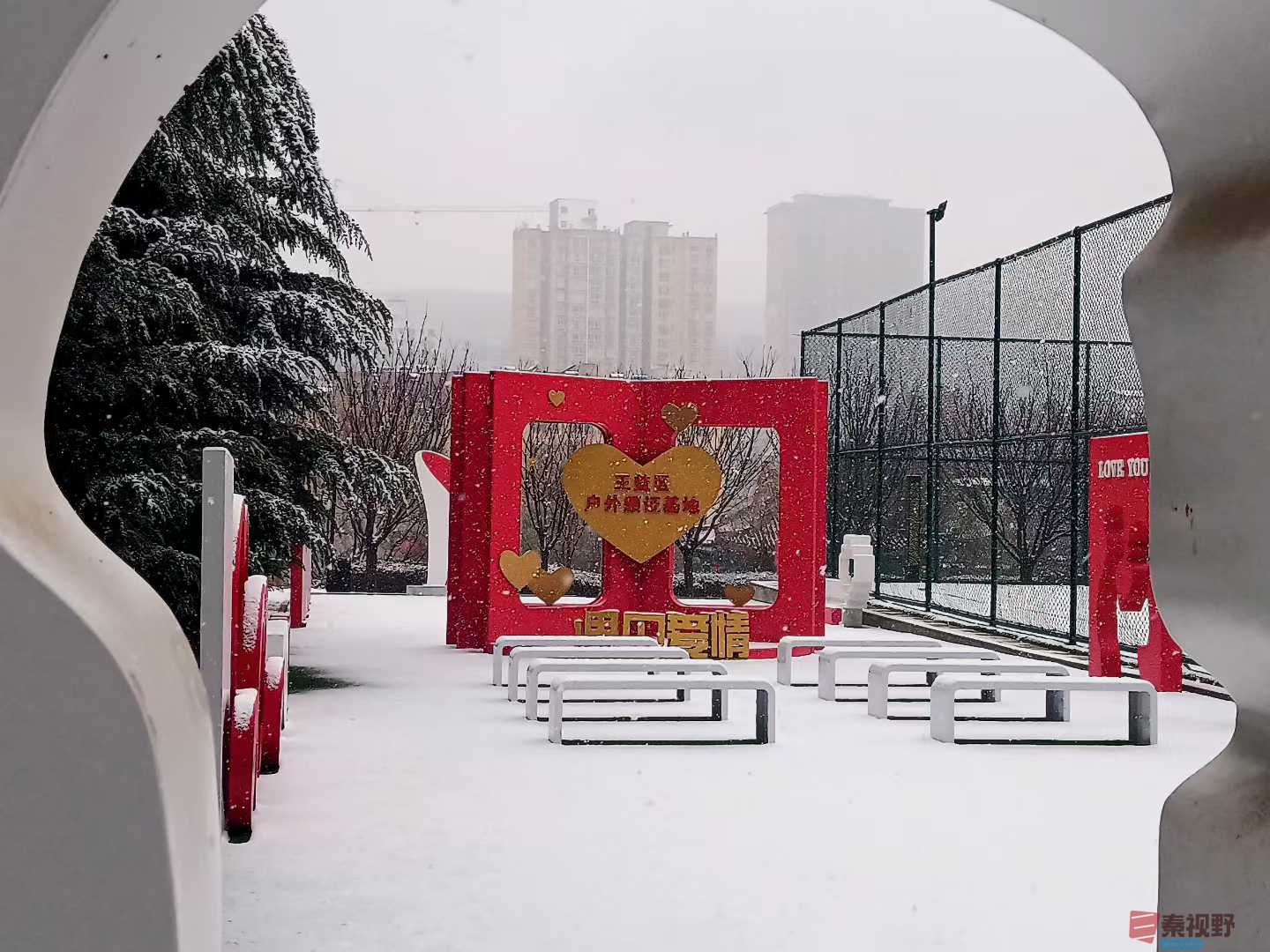 琴心剑胆_2025-12-13_145203_714 (1).jpg