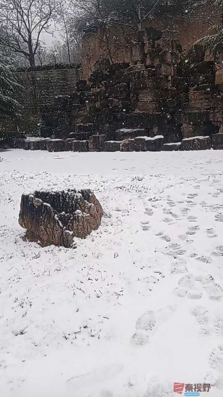 2025年铜川的第一场雪【摄影琴心剑胆】