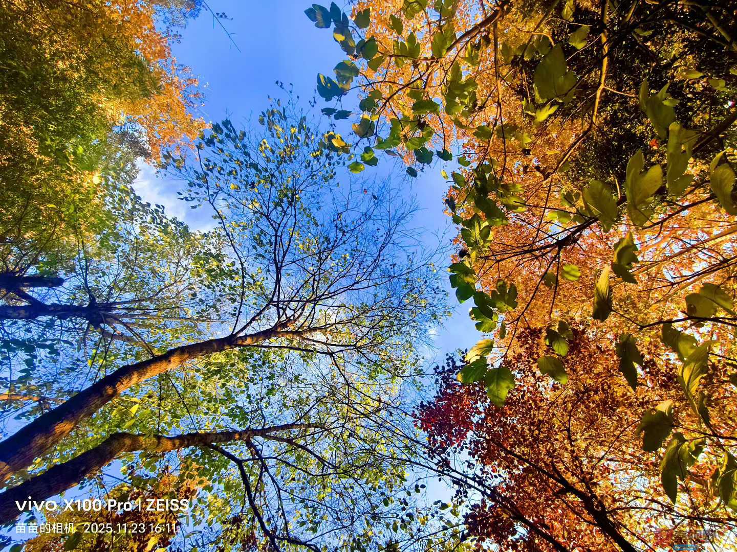 秋韵醉人，美景常驻