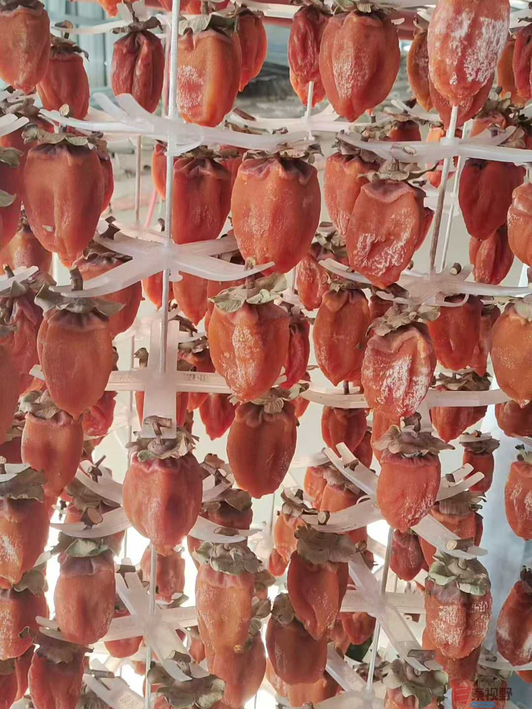 陈孟林_2025-12-16_102304_031 (5).jpg