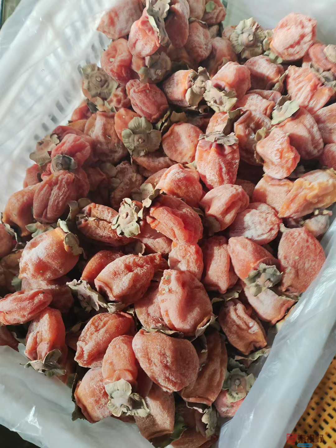 陈孟林_2025-12-16_102304_031 (6).jpg